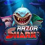 shark slot joker